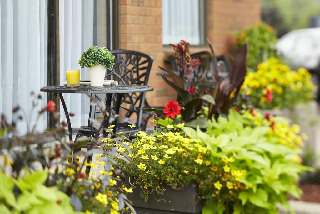 Comfort Inn South Shore Boucherville Eksteriør bilde